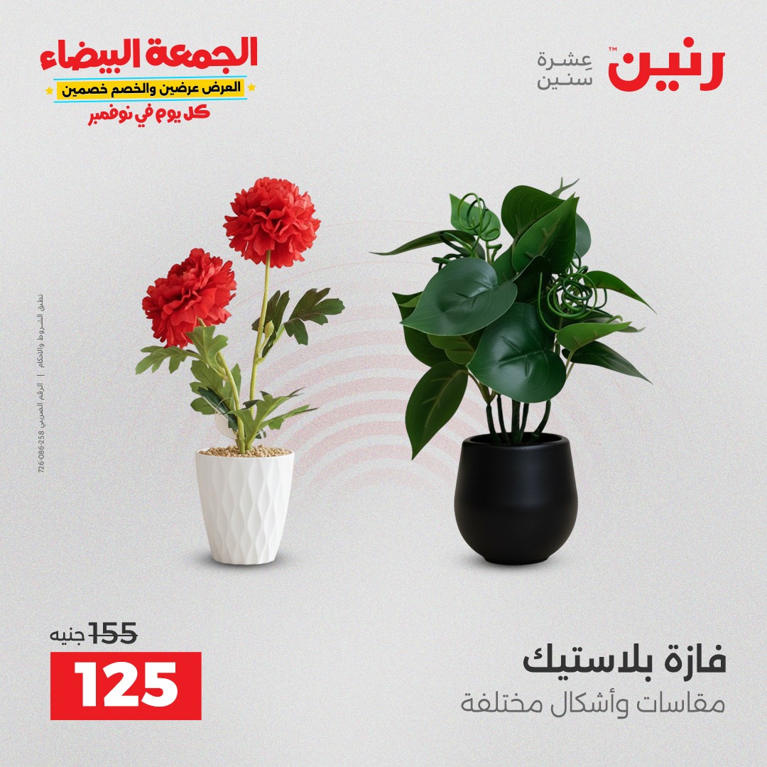 raneen offers from 4nov to 1nov 2025 عروض رنين من 4 نوفمبر حتى 1 نوفمبر 2025 صفحة رقم 162